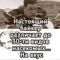 08b1bfd7aff07d1ec18bf3bafa511f4b.webp