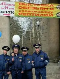 a9d7c4e08e9be1d0cadc4925733fbb25.webp