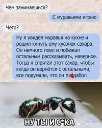 67851fa49da4e36783d1c0d82a979845.webp
