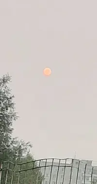 20210805_182158.webp