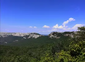 Screenshot_20210805_160846.webp