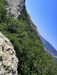 Screenshot_20210805_221503.webp
