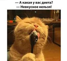 PcIRDE2vVYs.webp