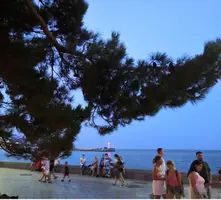 Screenshot_20210806_233010.webp