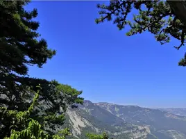 Screenshot_20210806_232518.webp