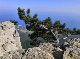 Screenshot_20210806_232601.webp