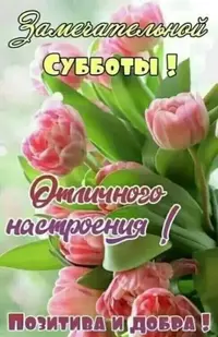 IMG-20210807-WA0007.webp
