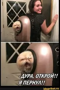 fd3fb3eaa5e9cc4e1bedb285951993d7.webp