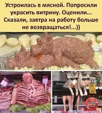 11a17d3a99393f62f5cb63ff996e4f84.webp