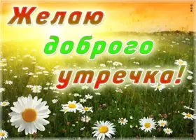 IMG-20210808-WA0009.webp