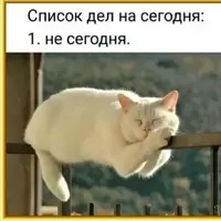 5a0995429a566b8ddf5b58c629b640a9.webp