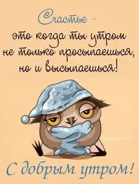 49e6188285249cacbc5c8a7d49cdd500.webp