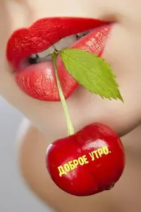 4e0cdd1a06d3576fbc781556721684d1.webp