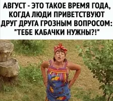 Screenshot_20210805_203444.webp