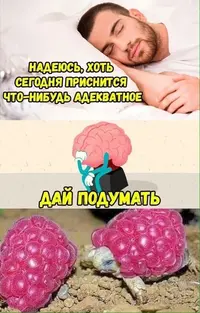 7dd6b8f05b54d78e9671d74c1dcd936f.webp