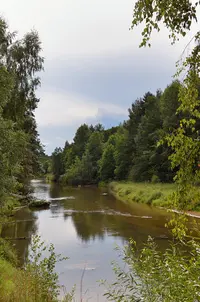 _DSC0598.webp