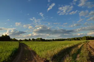 _DSC0532.webp