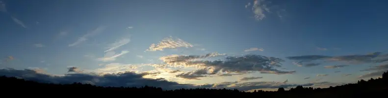 _DSC0571.webp