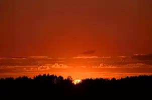 _DSC0513.webp