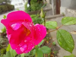 20210704_161829.webp