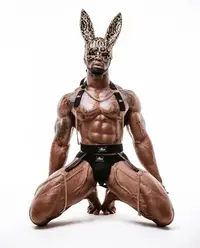 Easter Ostine Brown.webp