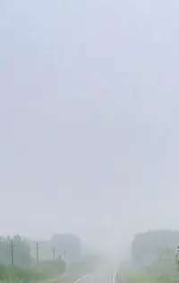 20210807_062752.webp