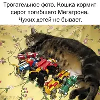 2f996381567bd334f11ddad8e92cb33d.webp