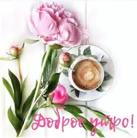01f96a677d99c27e86b9ce6564f6a169.webp