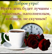 sngine_9c84a856d918a8011148d296e6376aa7.webp