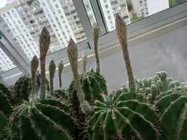 20210806_093447666.webp