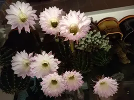 20210807_2127226666.webp