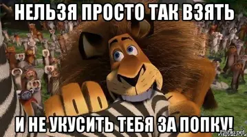 6d12b375512add4864a673fee0119dc9.webp