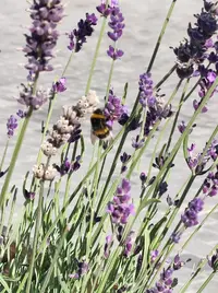 IMG_20210811_173919_compress81.webp