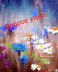 IMG-20210812-WA0002.webp