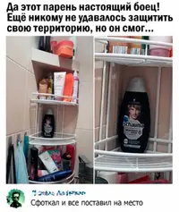 15823395.webp
