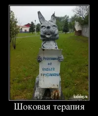 172e8dc8cbd75b57f6de821dfd052c91.webp