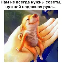 Screenshot_20210809_151422.webp