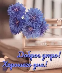 9e1fbdd60380b5effed4825f378a535b.webp