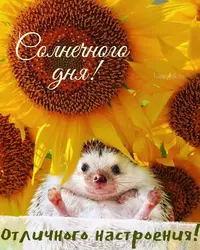 IMG-3dd67683418a334d4514959bba79f2b7-V.webp