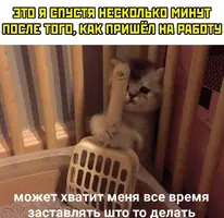 Screenshot_20210813_122937.webp