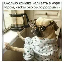 r8KP6tOgw6w.webp