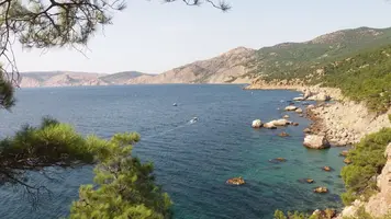 zjyEyDWiWIc.webp