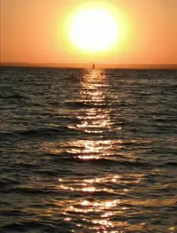 Screenshot_20210814_195828.webp