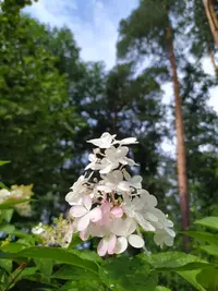 IMG_20210814_153523_copy_1500x2000.webp