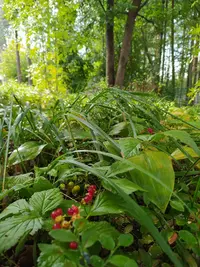 IMG_20210814_153028_copy_1500x2000.webp