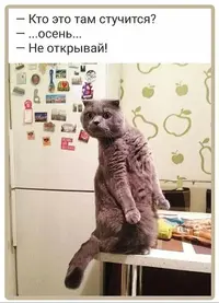 iGFPT0u8SPs.webp