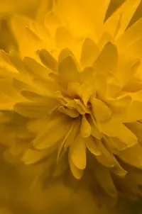 _DSC0736.webp