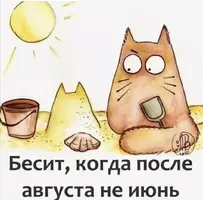 Screenshot_20210815_072106.webp