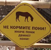 Uhgsn2CrJOI.webp