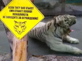 nDVPJa7uVpQ.webp